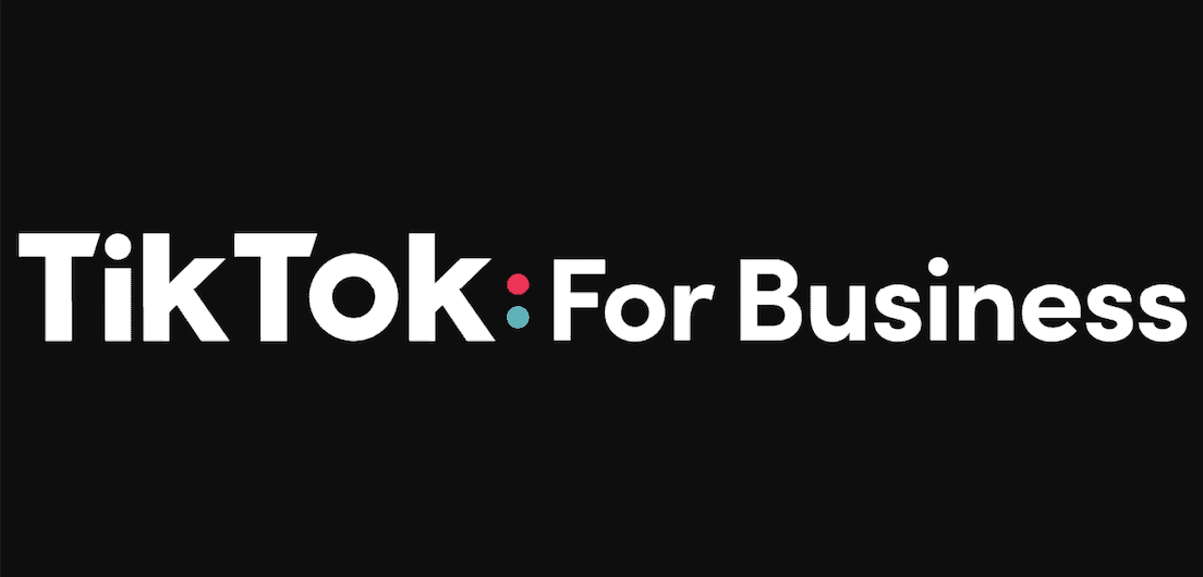 TikTok For Business Logo 2