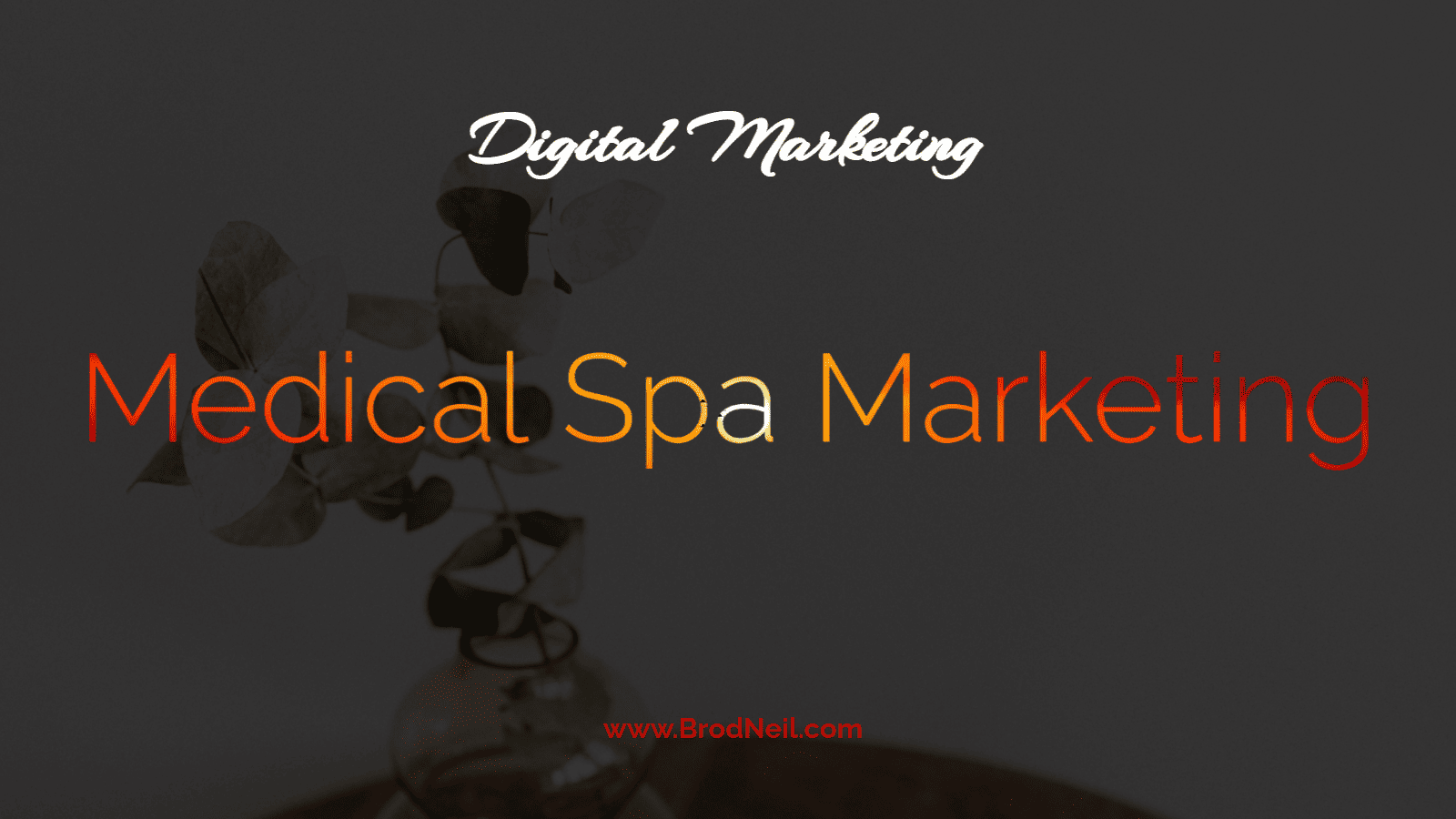 Medical Spa Marketing